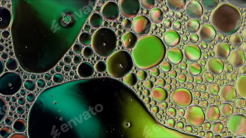 Preview: Abstract Colorful Food Oil Drops Bubbles and spheres Flowing on Water Surface
