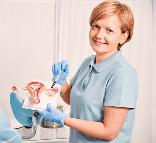 Preview: Woman Explaining Female Anatomy Using Model in Clinic