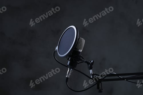 Preview: Microphone