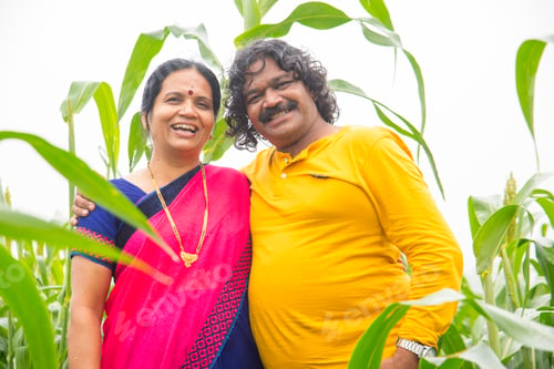 Preview: Happy Indian couple in sorghum crop field, India.
