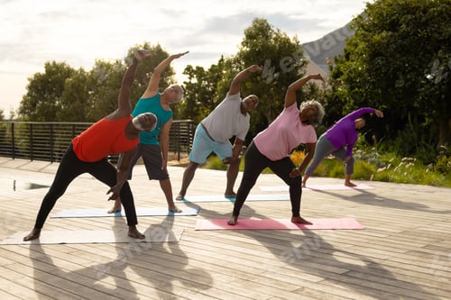 Preview: Multiracial seniors exercising on mats over hardwood floor against plants in yard