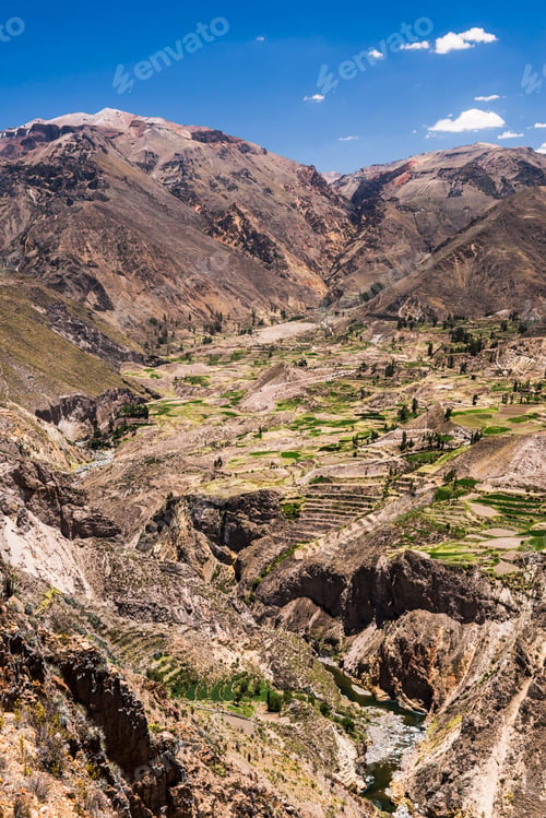 Vorschau: Colca Canyon Ackerland und Terrassen, Peru, Südamerika