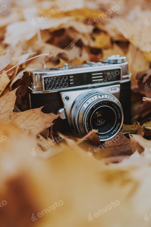 Preview: Vertical closeup shot of a camera isolated on autumn maple leaves in the park