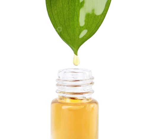 Preview: Essential oil drop falling from green leaf into glass bottle on white background, closeup