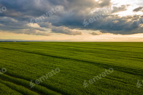 Preview: Aerial landscape view of green cultivated agricultural fields with growing crops on bright summer