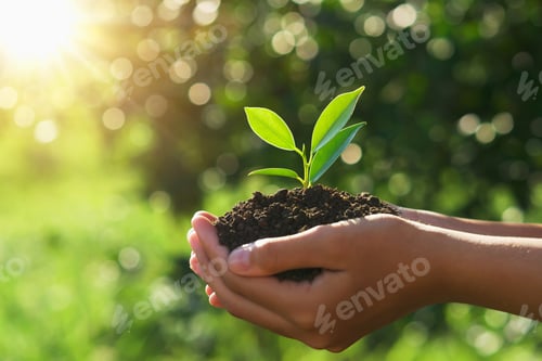 Preview: eco earth day concept. hand holding young plant in sunshine and green nature background