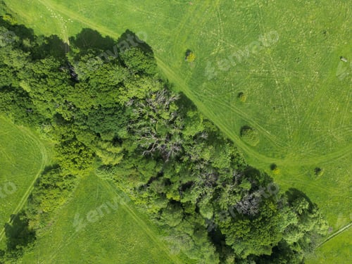 Preview: Lush Green Landscape Aerial View of Meadow