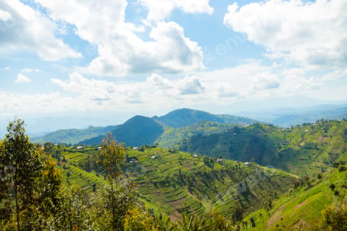 Preview: Beautiful African landscape on the background of mountains