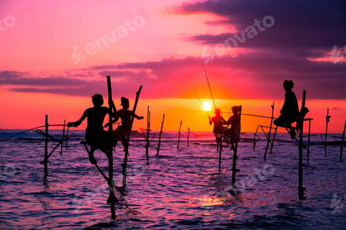 Preview: Traditional stilt fisherman in Sri Lanka
