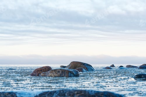 Preview: Panoramic view of the snow-covered shore of the Baltic sea at sunset. Ice fragments at sea close-up.