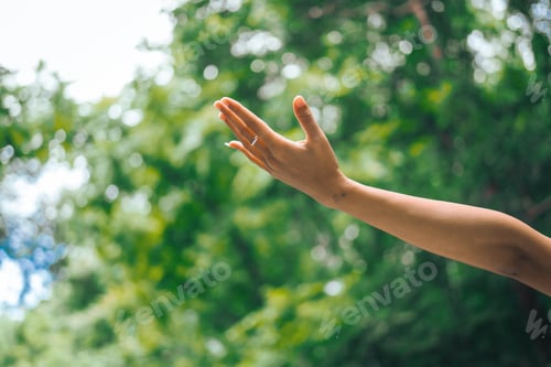 Preview: An Asian woman is standing happily in a green forest park, enjoying the fresh air and nature