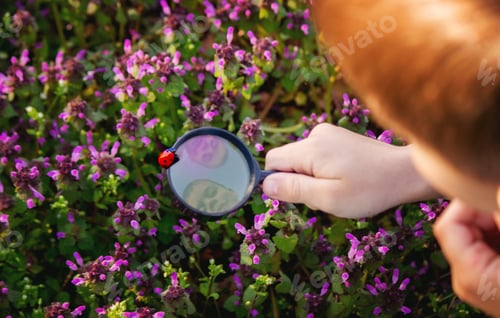 Preview: A child looks through a magnifying glass. A big child's eye.