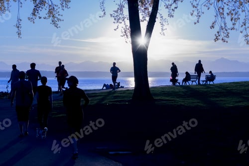 Preview: Silhouette sunset people at park.