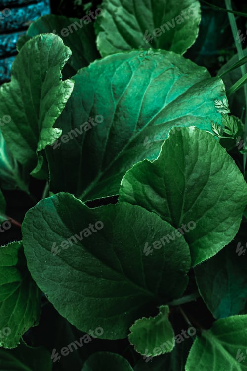 Preview: Beautiful nature!