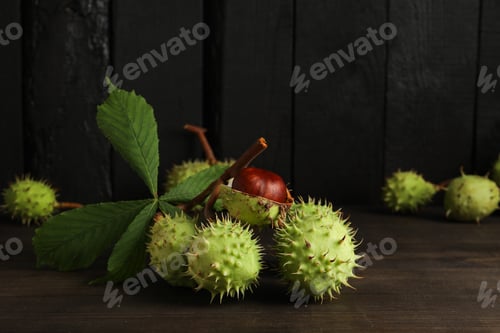 Preview: Green chestnut fruits with leaves on a dark background
