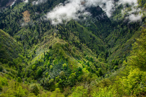 Preview: Misty Green Mountain Landscape