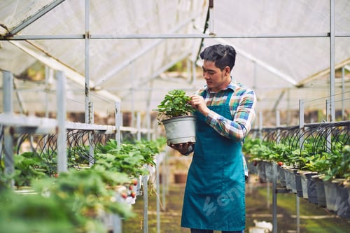 Preview: Planting strawberry