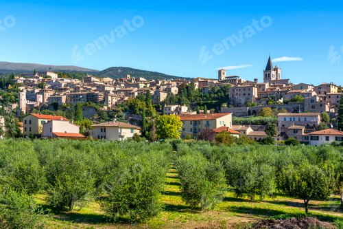 Preview: Spello Hill Town and Olive Grove Landscape in Umbria, Italy