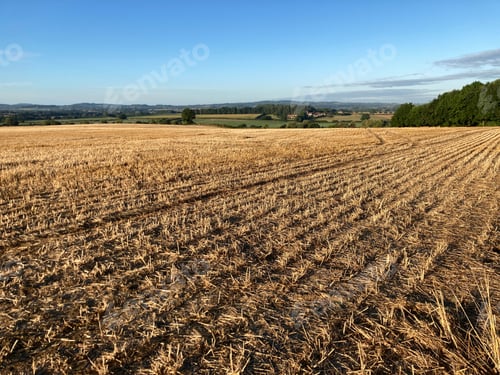 Preview: Field of stubble after harvest, Somerset, England