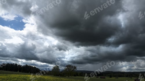 Preview: Wide shot of trees and grass field under a cloudy sky