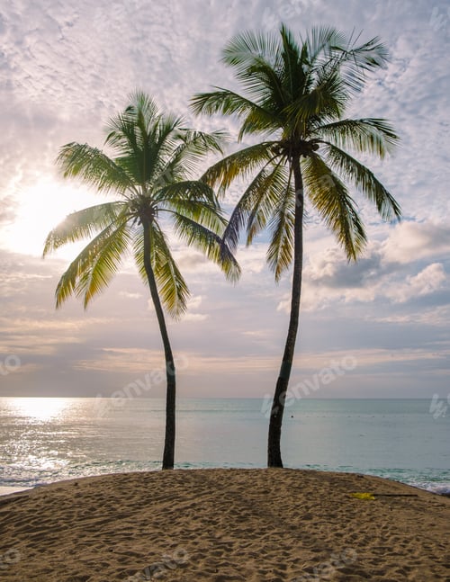 Preview: sunset on the beach with palm trees sunset at the tropical beach of Saint Lucia or St Lucia