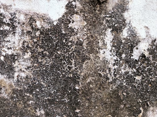 Preview: old grunge texture background perfect background with space and decorate the website