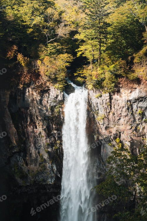 Preview: Waterfall in green forest