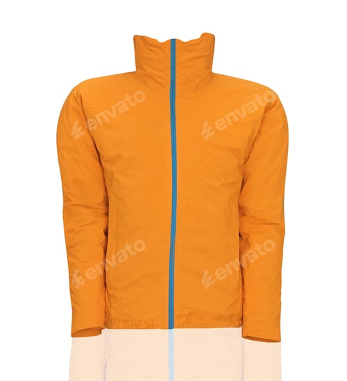 Preview: yellow jacket isolated on white