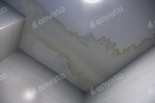 Preview: Water stain on the ceiling