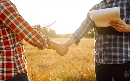 Preview: Handshake, joint work of farmers. Two farmers making agreement with handshake in wheat field.