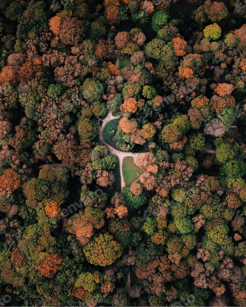 Preview: Top view of an autumn park with colorful trees