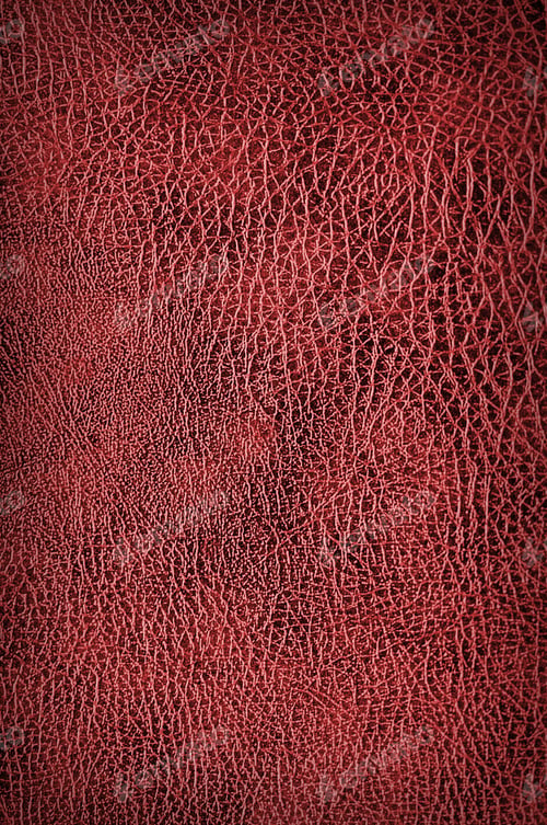 Preview: red croccodile Leather background