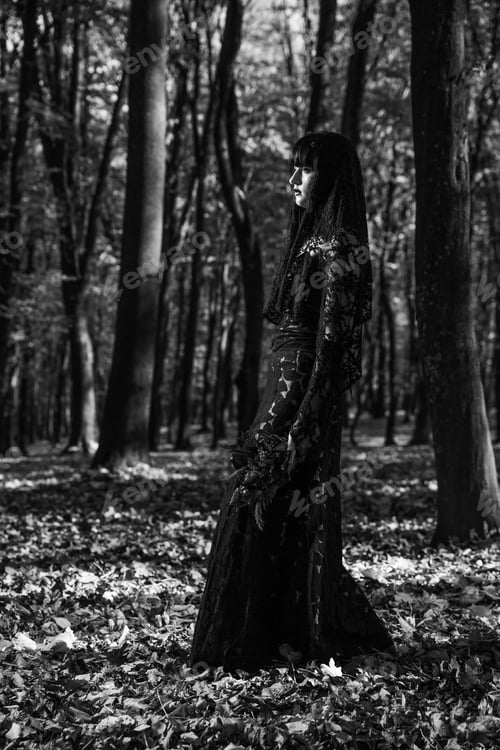 Preview: Moody shot of a Caucasian pretty female in a gothic style black dress