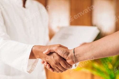 Preview: Doctor and Patient Handshake