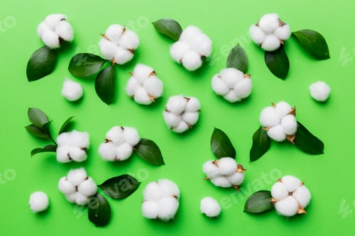 Preview: Autumn Floral Flat lay background composition. Dried white fluffy cotton flower branch