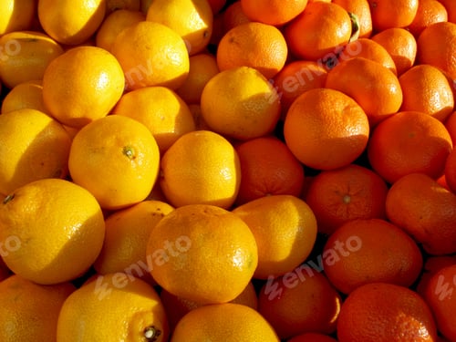 Preview: yellow and orange oranges