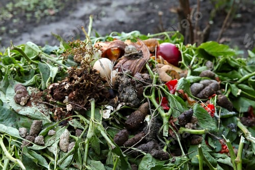 Preview: A pile of compost in a garden, with various organic materials like plant waste
