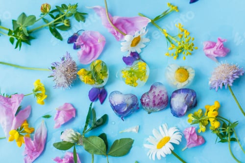 Preview: Hello summer concept. Floral ice cubes and fresh summer flowers
