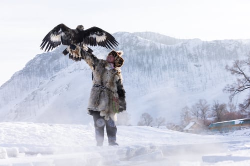 Preview: A Mongolian eagle hunter dressed holds a golden eagle in a snowy
