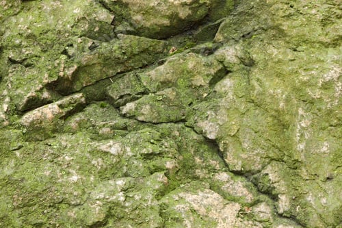 Preview: Abstract Granite Background, Texture From Another Planet, Stone Background For Designer, Brown
