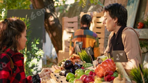 Preview: Friendly female vendor selling fresh natural apples to consumer