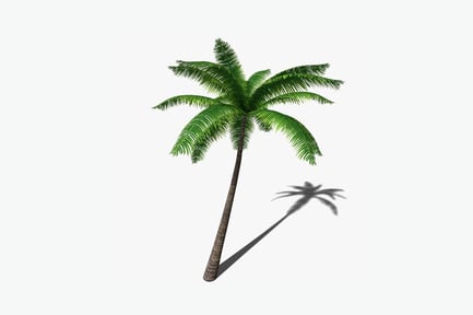 Preview: Curved palm tree with fern-like leaves
