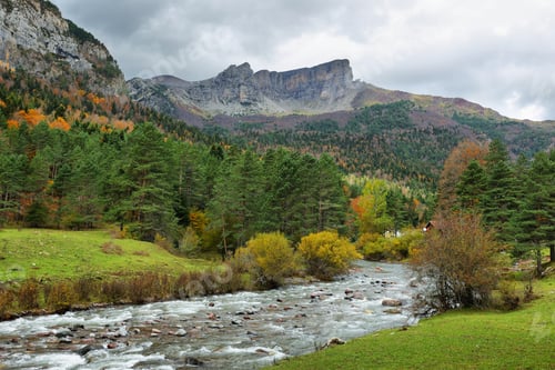 Preview: Gorgeous forest in Hecho Valley, Aragonese pyrenees, Huesca province, Spain