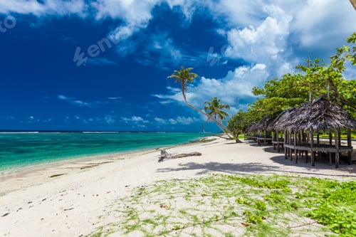 Preview: Tropical beach on south side of Samoa Island with coconut palm trees
