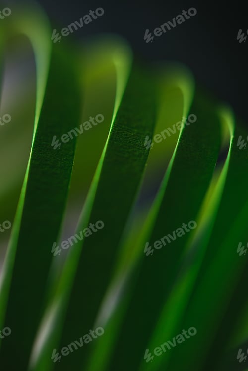 Preview: close up view of green quilling striped paper on black