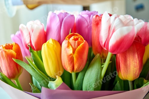Preview: bouquet of colorful tulips close up
