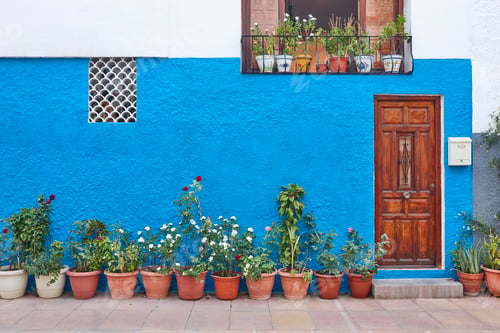 Preview: Picturesque blue and white traditional building facade decorated with plants