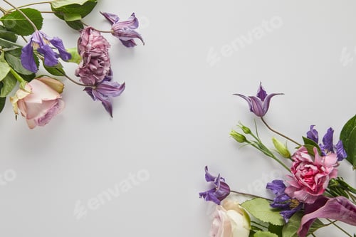 Vista previa: top view of violet and purple flowers on white background