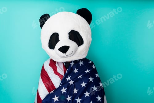 Preview: Man in panda mask wrapped with american flag - 4th July day in USA
