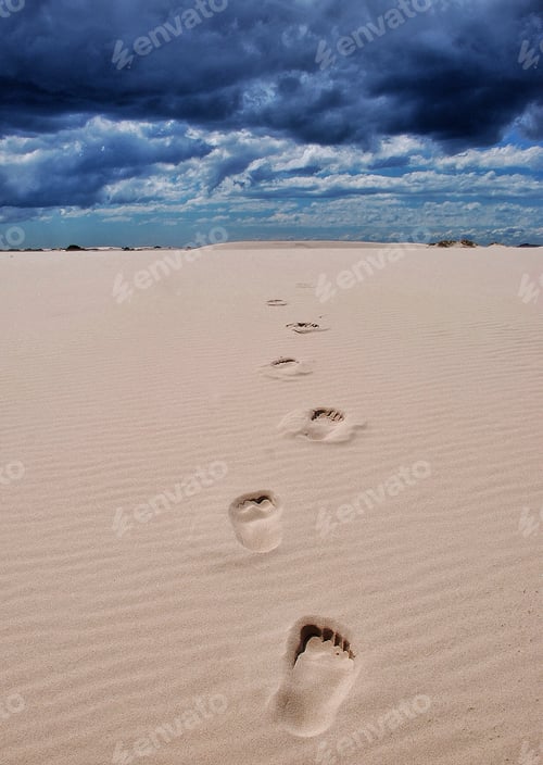 Preview: The Barefoot Traveller........
